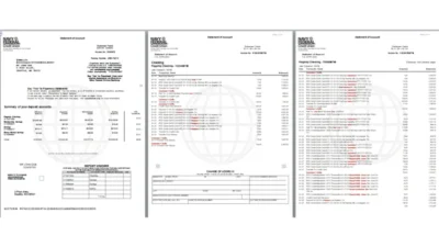 Navy Federal Bank Statement template