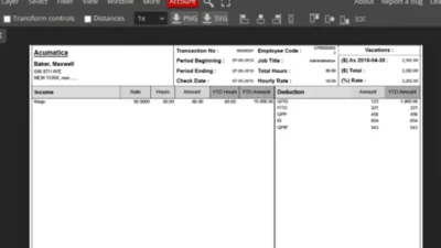 Fake Pay Stubs Statement Template in psd Format