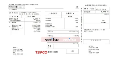 Japan Tokyo Electric Power Company (TEPCO) Electricity Utility Bill Word and PDF Template