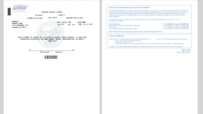 California Department of Motor Vehicles Interim Driver License Template