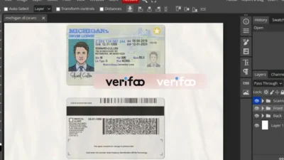 Michigan driver license Psd Template