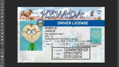 Nevada Drivers License Template In PSD Format