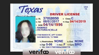 Texas Driver License Template In PSD Format