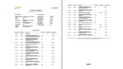 Nigeria Access Bank Statement Template in Word And PDF Format