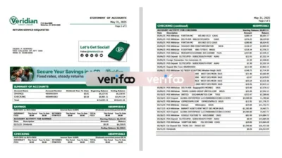 USA Veridian Credit Union Statement of Account Template(2025)