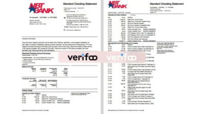 usa NBT Bank Standard Checking Statement Template in word and pdf format