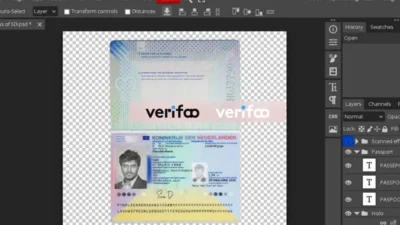 Netherlands (Dutch)Passport psd template New