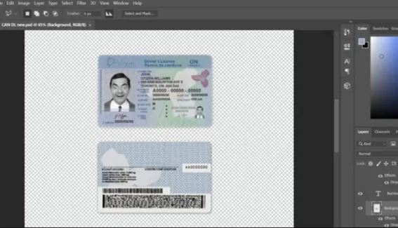 Canada Ontario driving license template in PSD format