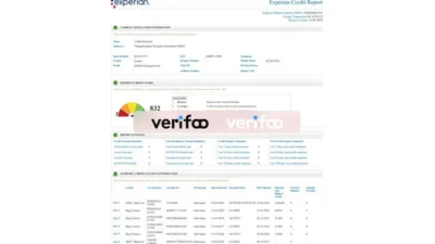 Experian Credit reporting Template