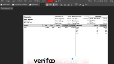 Paystub USA template psd
