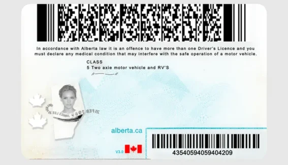 Canada-Alberta Driver license PSD Template