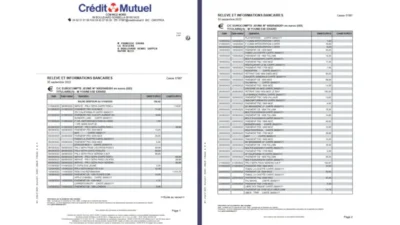 ING Current Account Statement Summary Template in Word And Template