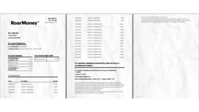 Fake Bank Statement Template Free Download (MoneyLion)