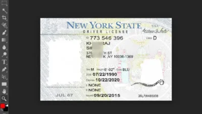 New York Drivers License Template In Psd Format
