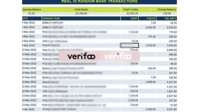 Real bank transactions Excel and PDF template