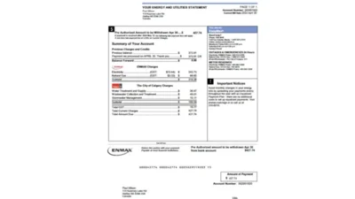 Canada ENMAX Energy and Utilities Statement Template in word and pdf format