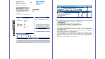 France EDF Réunion Electricity Invoice Template in word and pdf format