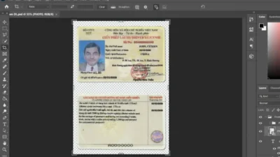 Vietnam driving license psd template