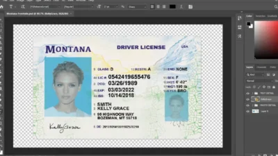 Montana driver license Psd Template (New2022)