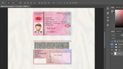 Albania Driving licence psd template