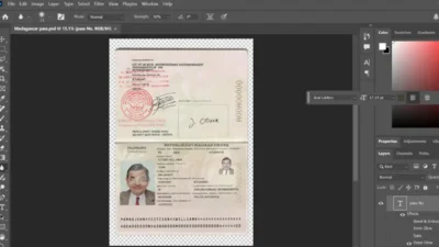 Madagascar Passport psd Template