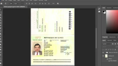 Download Guinea passport PSD Template (old Version)