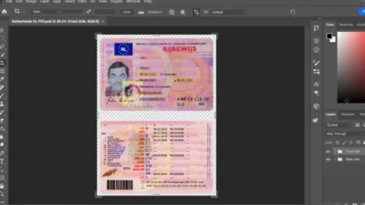 Netherland (Dutch) driving licence psd template