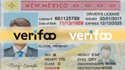 New Mexico Drivers License PSD Template Download