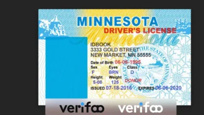 Minnesota Drivers License Template In PSD Format