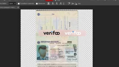 Germany New Passport PSD Template