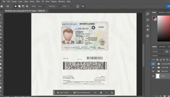 New Kentucky driver license psd template