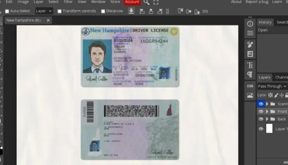 New Hampshire driver license Psd Template