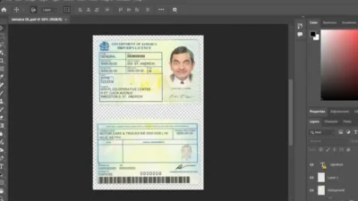 Jamaica driving license template in PSD format