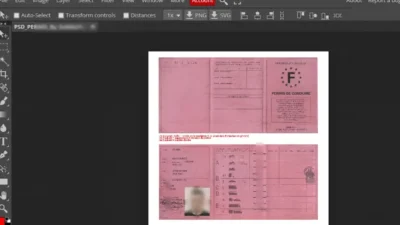 France Driving Licence Template in PSD format v1