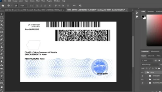 Lowa Driving License PSD Template Rev2022 – High DPI