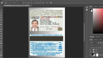 INTERNATIONAL driving license Template in PSD Format v1