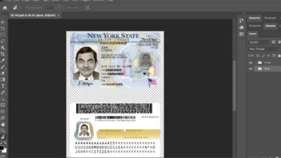 USA New York drivers permit template in PSD format