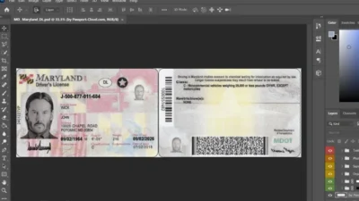 Maryland Driver License Template in PSD Format V2