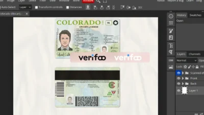 New Colorado driver license Psd Template