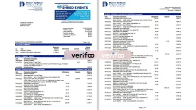 USA Dover Federal Credit Union Account Statement Template in word and pdf format
