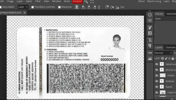 Philippines driver license Psd Template