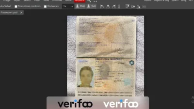 france passport psd template v2