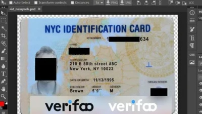 Fake New york ID Card Template Psd format