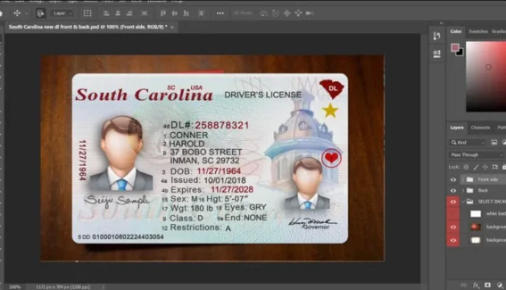 South Carolina Driving license PSD Template v2