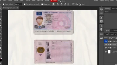 France Driver License PSD Template