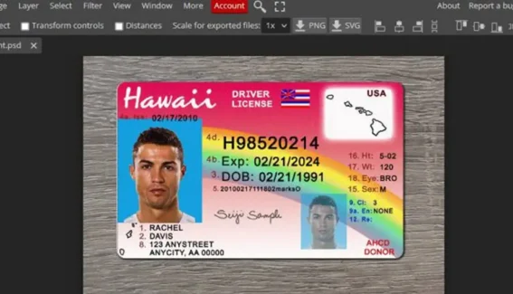 Hawaii Drivers License Template PSD v2