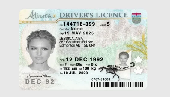 Canada-Alberta Driver license PSD Template