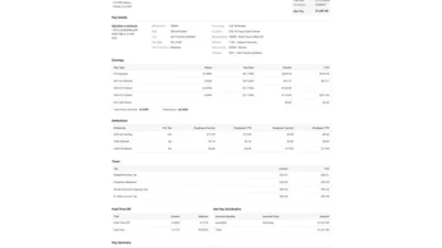 USA OSF HealthCare PayStub Word And PDF Template