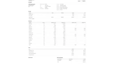 USA Protective Life Insurance PayStub Word And PDF Template (3 Pages)