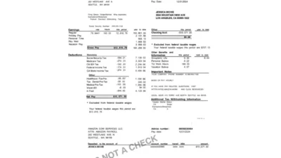 USA Amazon Services LLC Earnings Statement Word And PDF Template